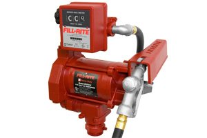 FR701VL 115vAC Pump with 807CL Mechanical Meter
