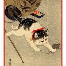 Japanese Ohara Shoson Koson Cat Mouse Counted Cross Stitch Pattern