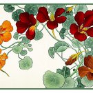 Asian Nasturtium Flowers Tanigami Konan Counted Cross Stitch Chart Pattern