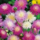50 Pink Purple White Sweet Sultan Flower Seeds Perennial Flowers 256 Fresh Garden 50 Pink Purple White Sweet Sultan Flower Seeds Perennial Flowers 256 Fresh Garden