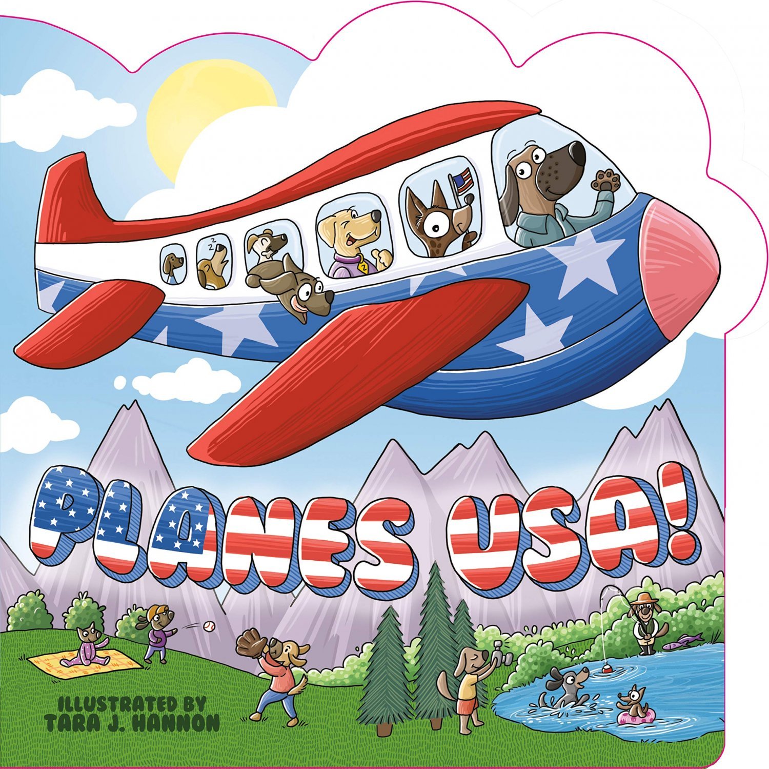 Planes USA! Board book