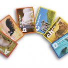 Teaching Tree Animal Pictures Alphabet Flash Cards - 36 Count Teaching Tree Animal Pictures Alphabet Flash Cards - 36 Count