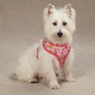 Zack & Zoey Spring Garden Pet Harness - Raspberry