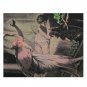 Cupid and Psyche Puzzle â 500-Piece Romantic Mythology Art from 1800s Book