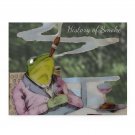 Smoking Frog Puzzle – 252-Piece German 1800s Art | History of Smoke Series