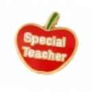 Special Teacher Apple Charm