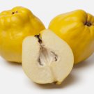 20 Common Quince Cydonia Oblonga Fruit Tree Seeds Sweet Edible Fruits