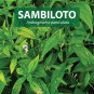 3 Packs SAMBILOTO 100 Herbal Capsules Boost Immunity & Treat Flu and Viruses