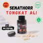 3 BOTTLE TONGKAT ALI CAPSULES 500 MG contains 100 capsules, gym and fitness supplements