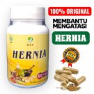 5 BOXS EZA Indonesia Herbal Capsules for Hernia Relief Free Taxs to USA