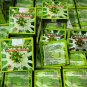 10 Boxes Yaostein BS Capsules Medicine for Gout, GOUT and Aches and Pains