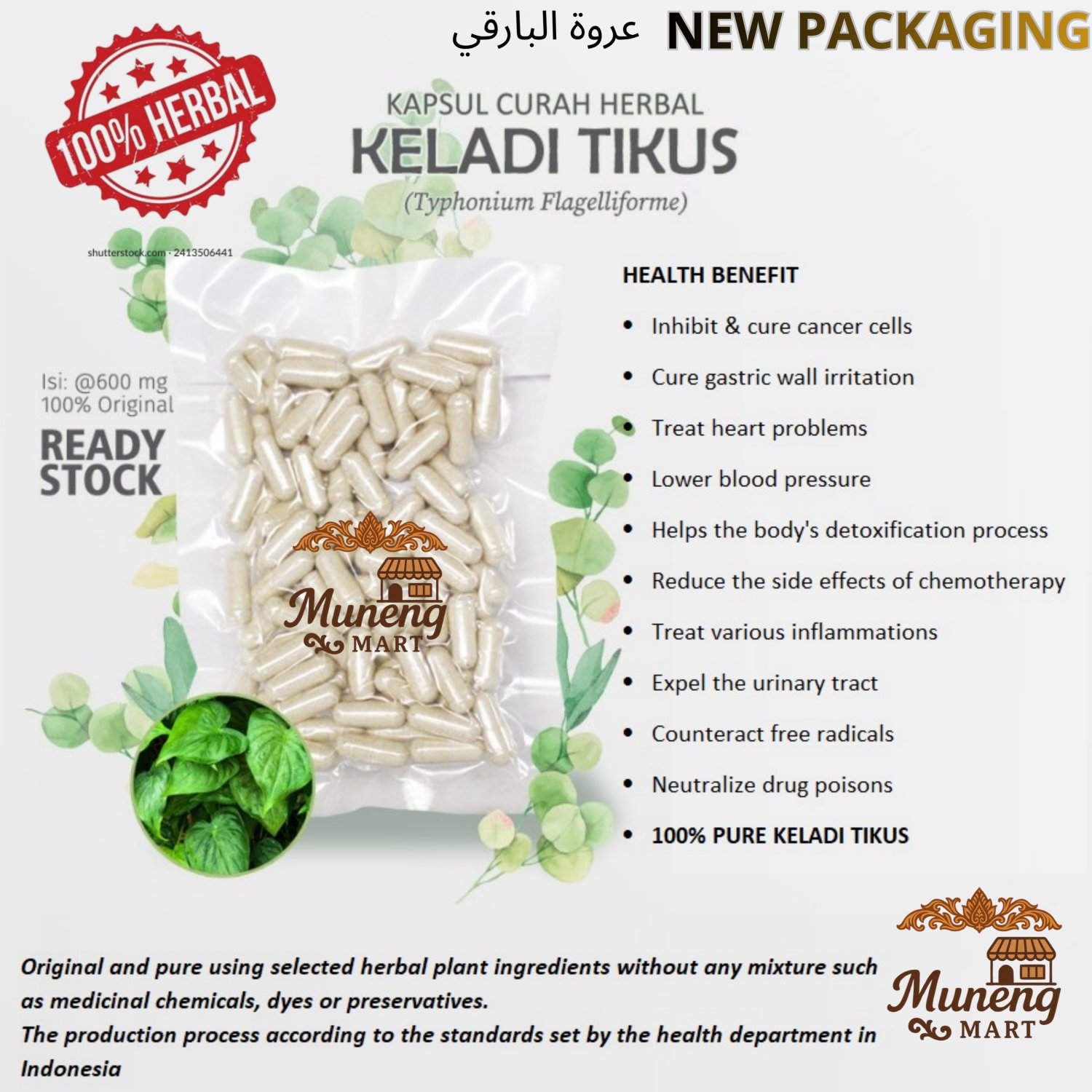 100 Capsule Typhonium Flagelliforme 600mg C@nc3r Asthma Liver Health Inflammation - NO CHEMICALS