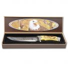 Custom Wildlife Eagle Bowie with Display Case