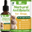 Dogs Antibiotics for Infection Coughs, UTIs, Allergies, Itching - Natural