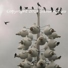 Purple Martins II 8" X 10"