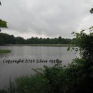Lake Nevin 8" X 10"