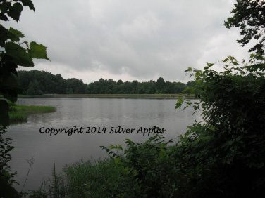 Lake Nevin 8" X 10"