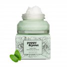 Poppy & Pout Natural Lip Scrub, Moisturizing Sugar Scrub for Dry Lips, Sweet Mint