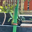 Khaen Bamboo Thai Tradition Musicial Instrument Mouthorgan Green Colour Am Key