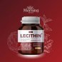 Lecithin (Lecithin) for liver support, 1 bottle of 60 capsules.