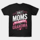 Mother'S Day 2021 Only Great Moms Get Promoted To Grandma Funny Saying T-Shirt Mother'S Day 2021 Only Great Moms Get Promoted To Grandma Funny Saying T-Shirt