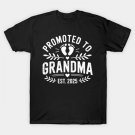 Promoted To Grandma Est. 2025 Baby Announcement Mother'S Day T-Shirt
