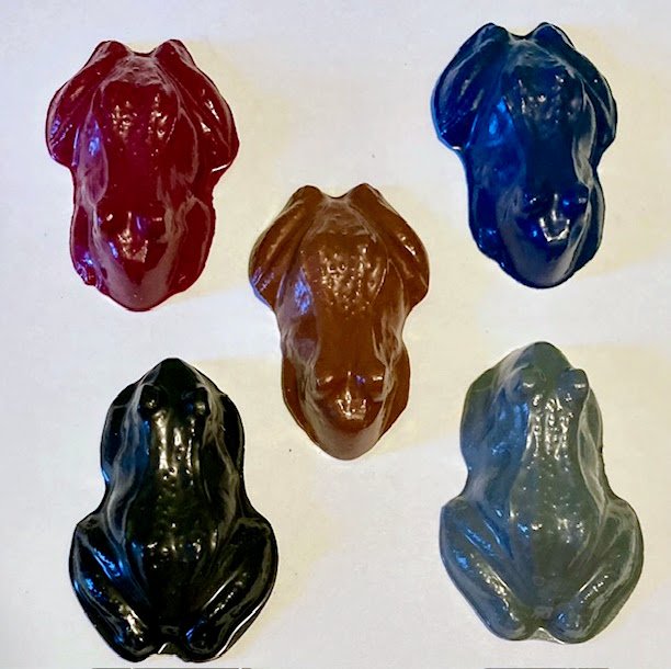 Set Five Frog Coloring Crayons-Amphibian Nature-SD Birthday Party Gift-Brown Gray