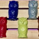 Set Six Owl Coloring Crayons-Fowl-Birds-Hawks-Birthday Party Gift