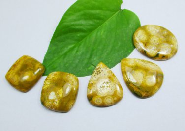 100%Natural Ocean jasper cabochon, Any kind of jewellery making 5 Pieces Lot