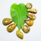 Natural Mookaite Cabochon Mix Shape Gemstone 8 PIeces Stone Lot Natural Mookaite Cabochon Mix Shape Gemstone 8 PIeces Stone Lot