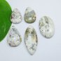 AAA Mixed Cabochons Crazy Lace Agate 5 Piece Lot Of Natural Gemstone