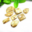 Picture Jasper Gemstone Natural 8 PCS Gemstone Lot For Craft India Picture Jasper Gemstone Natural 8 PCS Gemstone Lot For Craft India