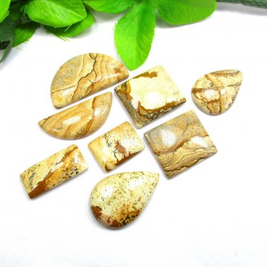 Picture Jasper Gemstone Natural 8 PCS Gemstone Lot For Craft India