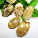 Natural Picture Jasper Oval Shape Gemstone Low Price 5 PCS Lot Natural Picture Jasper Oval Shape Gemstone Low Price 5 PCS Lot