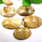 Natural Picture Jasper Oval Shape Gemstone Low Price 5 PCS Lot
