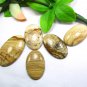 Natural Picture Jasper Oval Shape Gemstone Low Price 5 PCS Lot