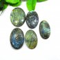 Carving Blue Fire Labradorite Oval Shape Gemstone 5 PCS LOT