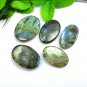 Carving Blue Fire Labradorite Oval Shape Gemstone 5 PCS LOT