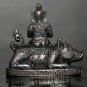 Supreme Loving-Kindness & Protection â Nang Pim Sitting on Royal Boar