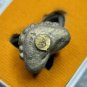 THE IRON SHIELD: Ultimate Protection & Wealth Amulet