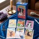 Dog Tarot Deck in Rigid Box – 78-Card Set by Megan Lynn Kott with Guidebook & Rigid Box
