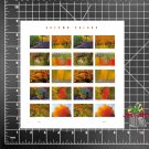 2024 USPS SHEET OF 20 FIRST CLASS FOREVER STAMPS AUTUMN COLORS FALL FOLIAGE 78¢