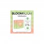 Bloom Beauty Ceramide Tone Up Cream Skin Brightening Glow Moisturizing