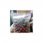 335 g. Healthy Boy Seafood Dipping Sauce Thai Cuisine Chilli Lime