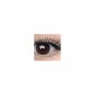 Eyelash Growth Serum for Longer Thicker Fuller Brows Lash 10 ml