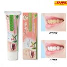 2 x ISME RASYAN Herbal Clove Toothpaste Antibacterial Whitening Aloe