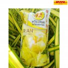 3X Wan Mei Freeze Dried Durian Monthong Grade A Snack Thai King