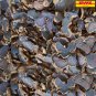 500 g. Krachai Dam Dried Black Ginger Fingerroot Kaempferia Herb For