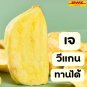 Crispy jackfruit no sugar large size naturally sweet crispy delicious