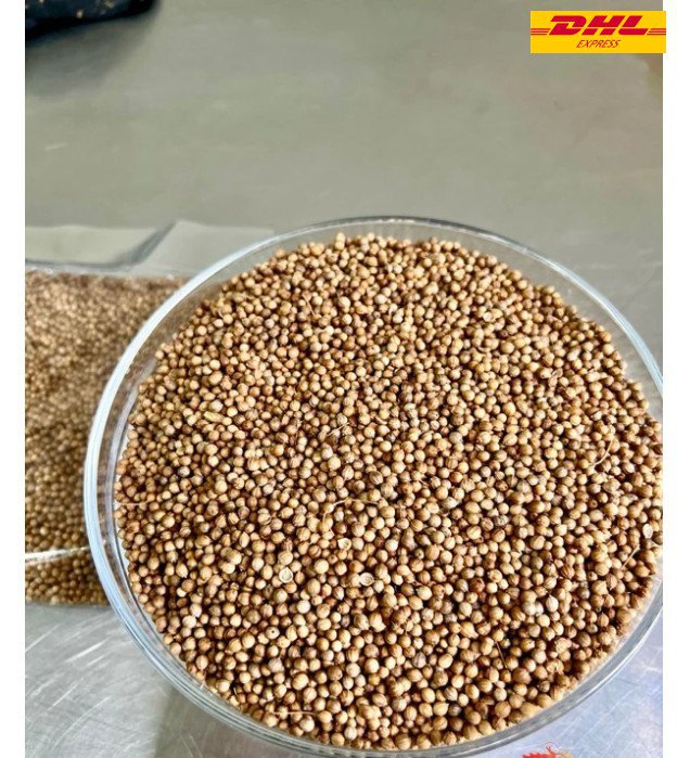 100% Dried Coriander Seeds Ready to Cook 500g